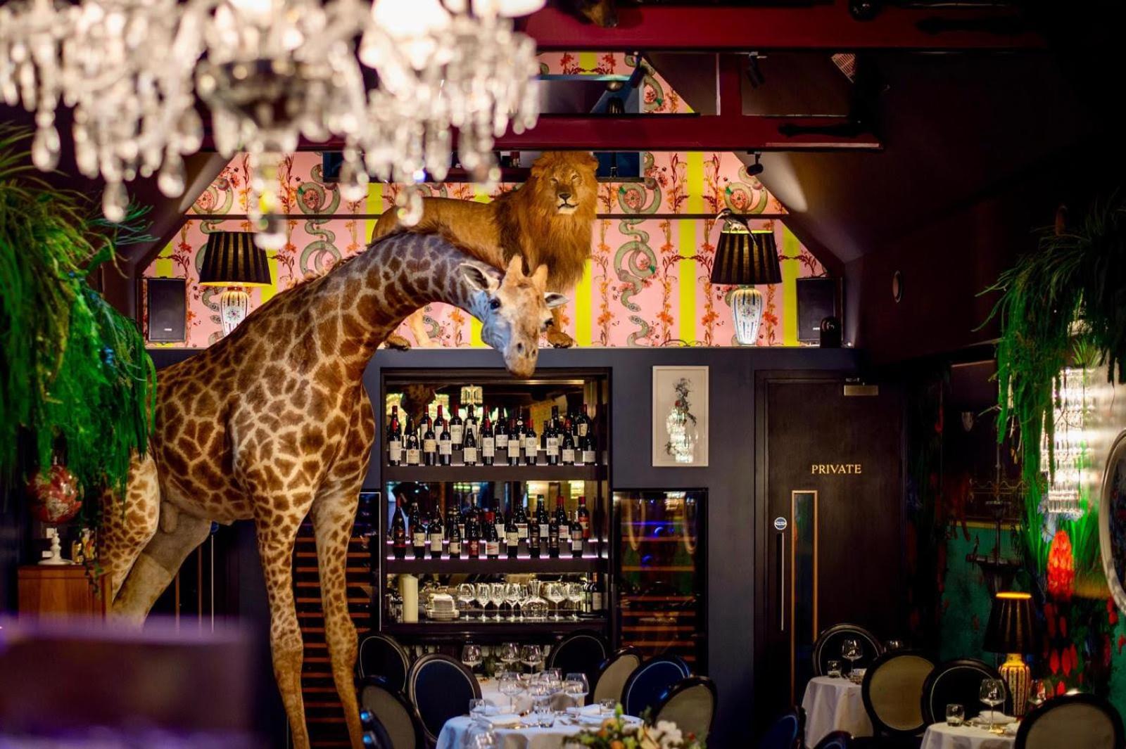 Hux Hotel, Kensington London Luaran gambar